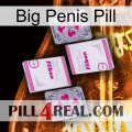 Big Penis Pill 33